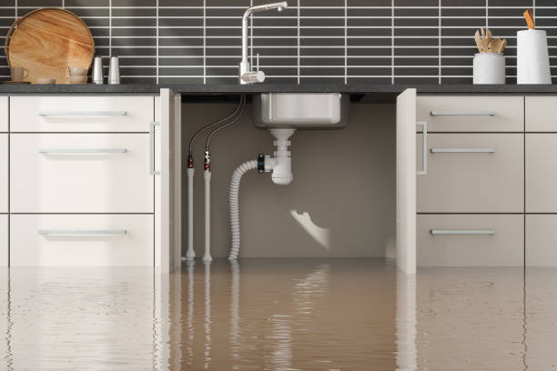 Best Plumbing Leak and Burst Pipe Cleanup in Hagerstown, MD